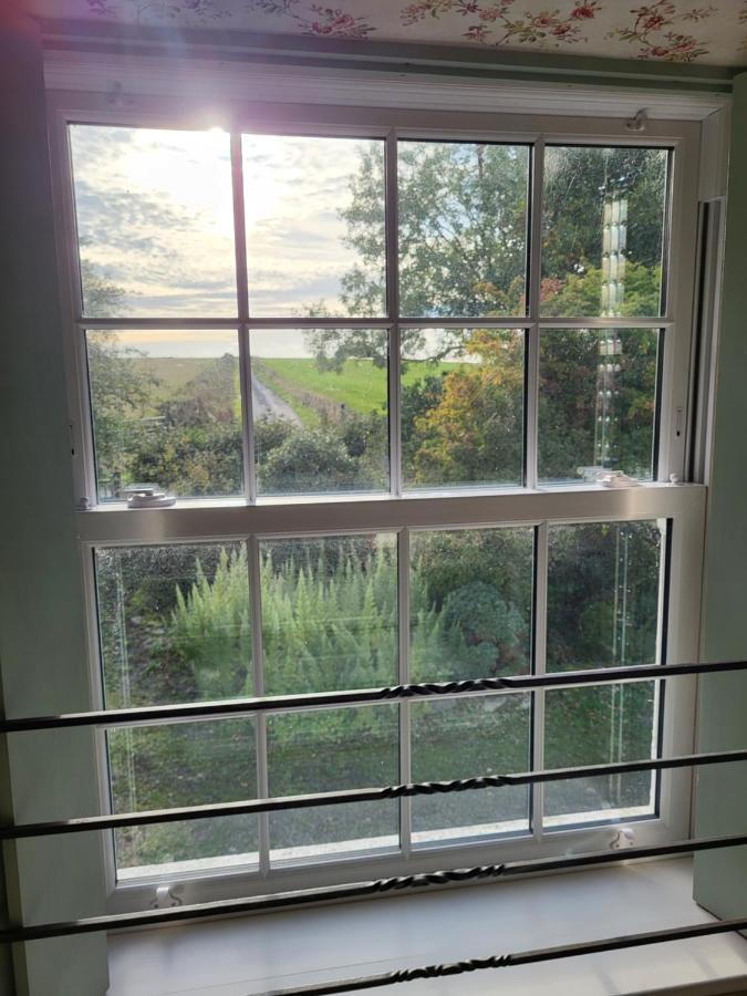 The Green Door Vegan B&B Llanon Bagian luar foto