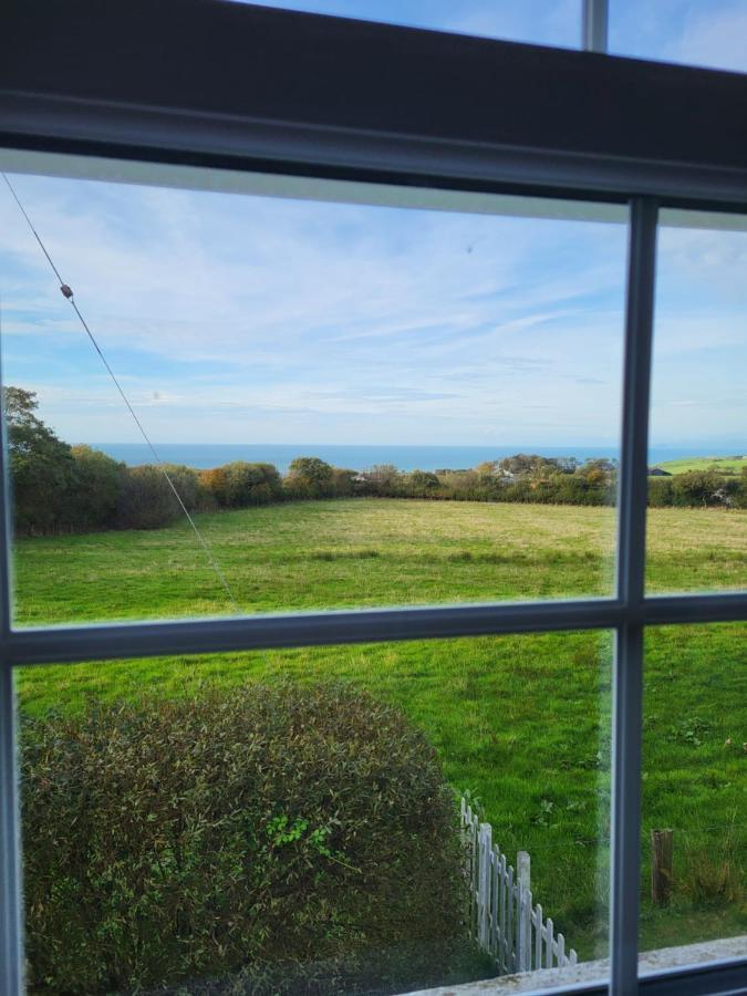 The Green Door Vegan B&B Llanon Bagian luar foto